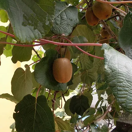 Casa Ginevra Σπίτι διακοπών *